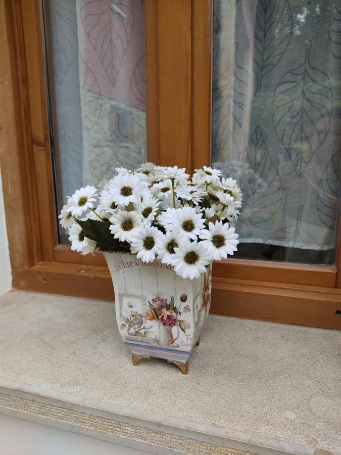 Willa Aromas De Corain Onís Zewnętrze zdjęcie